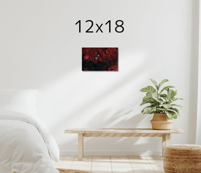 Christmas Tree Nebula