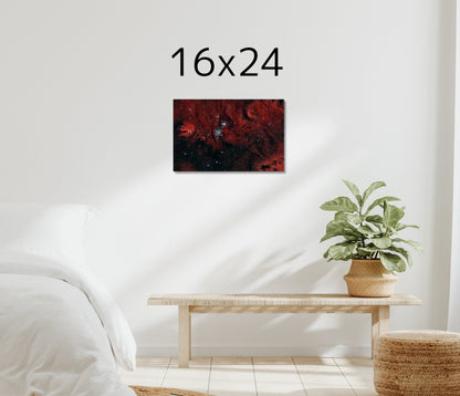 Christmas Tree Nebula