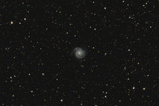 M74 – The Phantom Galaxy