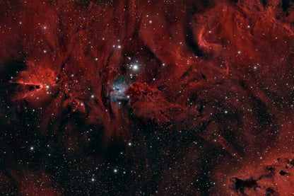 Christmas Tree Nebula
