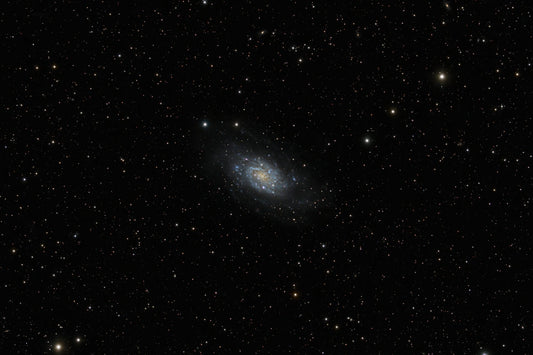 NGC 2403 – The Spiral Galaxy in Camelopardalis