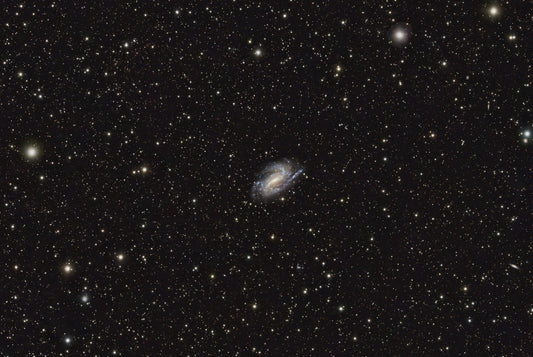 NGC 925 – The Barred Spiral Galaxy in Triangulum