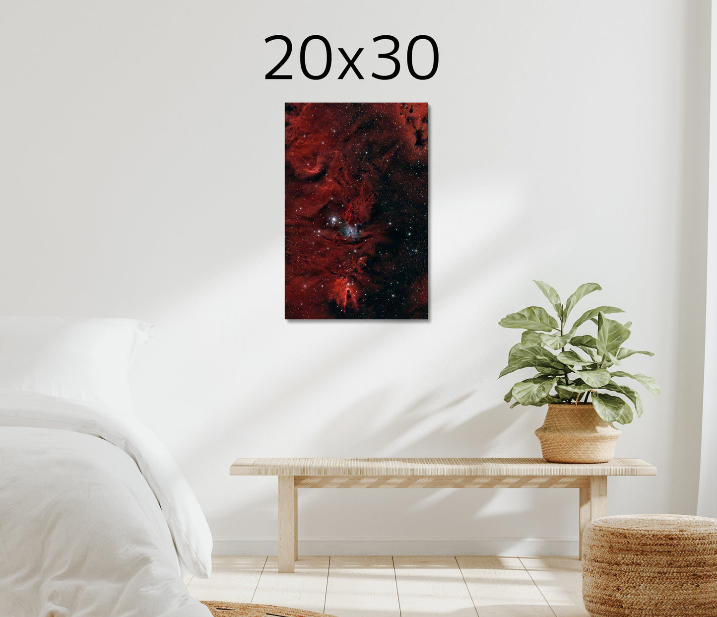 Christmas Tree Nebula