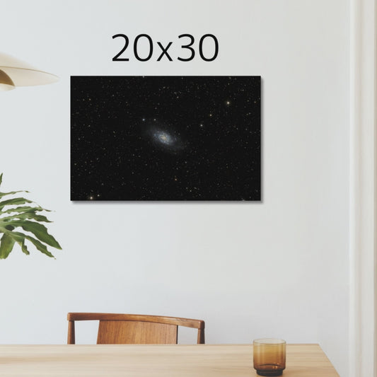 Spiral Galaxy in Camelopardalis